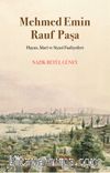 Mehmed Emin Rauf Paşa & Hayatı, İdarî ve Siyasî Faaliyetleri 