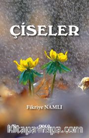 Çiseler