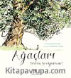 Ağaçları Neden Seviyorum ?