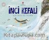 İnci Kefali