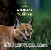 Wildlife Of Türkiye