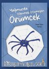 Yağmurda Islanmak İstemeyen Örümcek