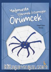 Yağmurda Islanmak İstemeyen Örümcek