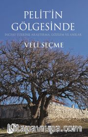 Pelit’in Gölgesinde  İncesu Üzerine Araştırma, Gözlem ve Anılar