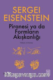 Piranesi ya da Formların Akışkanlığı