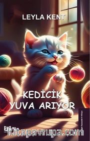 Kedicik Yuva Arıyor