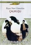 Çalıkuşu (Gençler İçin)