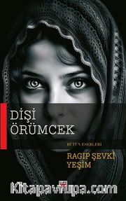 Dişi Örümcek