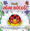 Küçük Uğur Böceği