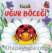 Küçük Uğur Böceği