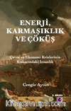 Enerji, Karmaşıklık ve Çöküş
