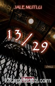 13 / 29