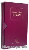 Divan Kaygusuz Abdal
