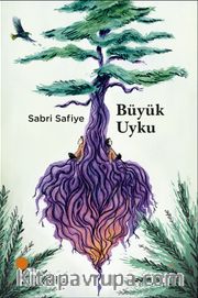 Büyük Uyku