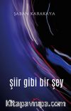 Şiir Gibi Bir Şey