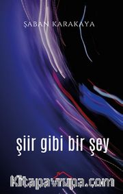 Şiir Gibi Bir Şey