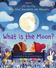 Ltf Very First Q<br />A What Is The Moon?