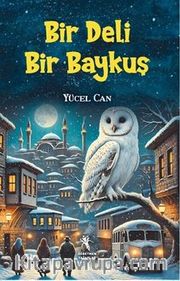 Bir Deli Bir Baykuş 