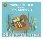 Yavru Ördek Öğreniyor Tıpkı Senin Gibi