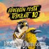 Güvercin Posta Teşkilatı 10