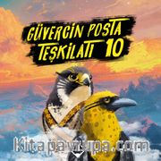 Güvercin Posta Teşkilatı 10