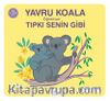 Yavru Koala Öğreniyor Tıpkı Senin Gibi