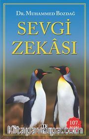 Sevgi Zekası