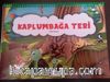 Kaplumbağa Teri