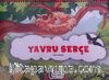 Yavru Serçe