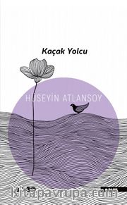 Kaçak Yolcu
