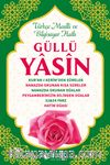 Güllü Yasin (Kitap Boy)