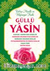 Güllü Yasin (Rahle Boy)