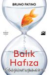 Balık Hafıza & Dikkatimizi Kim, Nasıl Yönetiyor?