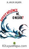 Soyut Düşünce Mi, O Nedir?