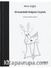 Ormandaki Kalpsiz Ceylan