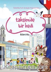 İstanbul’un Acayip Hayvanları Taksimde Bir Kedi