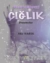Sessizliğimdeki Çığlık 