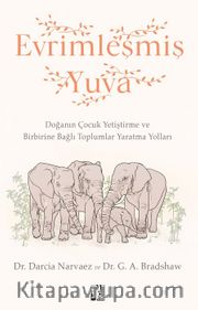Evrimleşmiş Yuva