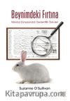 Beynimdeki Fırtına