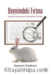Beynimdeki Fırtına