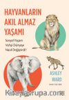 Hayvanların Akıl Almaz Yaşamı & Sosyal Yaşam Vahşi Dünyayı Nasıl Değiştirdi?