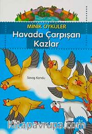 Havada Çarpışan Kazlar  / Minik Öyküler