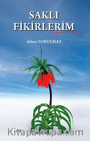 Saklı Fikirlerim