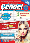 Fenomen Çengel Bulmaca 1