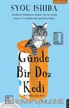 Günde Bir Doz Kedi
