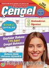 Fenomen Çengel Bulmaca 16