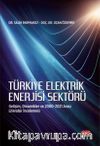 Türkiye Elektrik Enerjisi Sektörü & Gelişim, Dinamikler ve 2000-2021 Arası Literatür İncelemesi