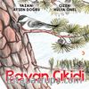 Bayan Çıkidi
