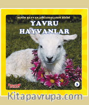 Yavru Hayvanlar