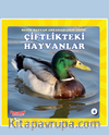 Çiftlik Hayvanları